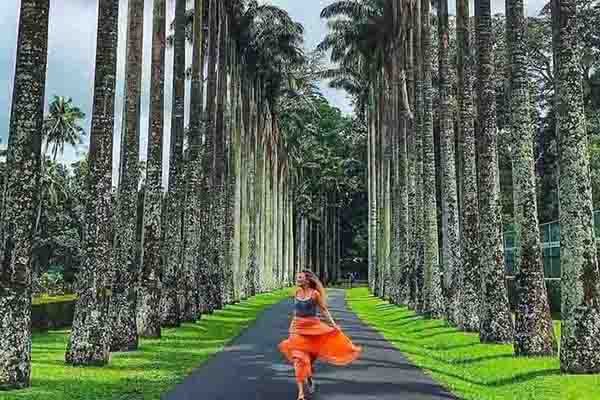 Royal Botanical Gardens Peradeniya Sri Lanka